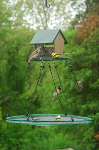 SeedHoop-Seed Catcher Adjustable Seed Tray 30-inch 5 SeedHoop-Seed Catcher Adjustable Seed Tray 30-inch - Image 3