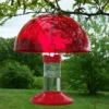 Dr. JB's Clean Hummingbird Feeder & Hummer Helmet 2 Dr. JB's Clean Hummingbird Feeder & Hummer Helmet -THE BIRDHOUSE CHICK Sales SESQ83R 0f383c47 059e 4214 ba45 ee575659f256