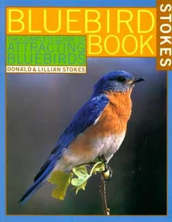 Complete Guide To Attracting Bluebirds 3 Complete Guide To Attracting Bluebirds