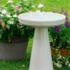 Simple Elegance Pedestal Bird Bath- 4 Colors 2 Simple Elegance Pedestal Bird Bath- 4 Colors -THE BIRDHOUSE CHICK Sales Simple Elegance Birdbath White
