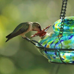 Solar Glass Hummingbird Feeder With Perch -THE BIRDHOUSE CHICK Sales Solar Hummingbird Feeder Detail