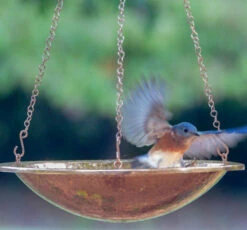 Solid Copper Hanging Bird Bath, 2 Sizes
