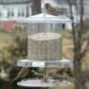Songbird All-Weather Feeder 4 Or 6 Qt. 1 Songbird All-Weather Feeder 4 Or 6 Qt. -THE BIRDHOUSE CHICK Sales Songbird All Weather Bird Feeder
