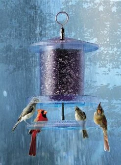Songbird All-Weather Feeder 4 Or 6 Qt. 10 Songbird All-Weather Feeder 4 Or 6 Qt. -THE BIRDHOUSE CHICK Sales Songbird All Weather Bird Feeder