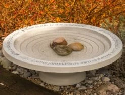 Large Step-In Bird Bath 7 Large Step-In Bird Bath -THE BIRDHOUSE CHICK Sales Stone Birdbath with Steps