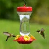 Top Fill Glass Hummingbird Feeder -THE BIRDHOUSE CHICK Sales Top Fill Glass Hummingbird Feeder