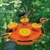 Ultimate Oriole Feeder 2 Ultimate Oriole Feeder -THE BIRDHOUSE CHICK Sales Ultimate Oriole Feeder