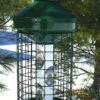 Deluxe Large Capacity Squirrel-Proof Feeder -THE BIRDHOUSE CHICK Sales VCAV1MNP