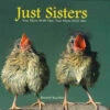 Just Sisters Gift Book 1 Just Sisters Gift Book -THE BIRDHOUSE CHICK Sales WC978.sisters smll