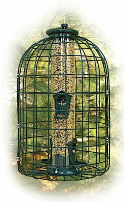 Caged Squirrel Proof Bird Feeder- 2 Lb.