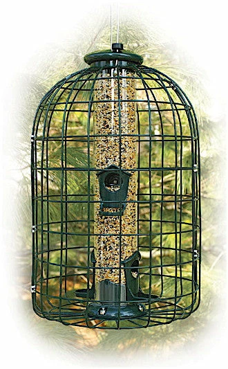 Caged Squirrel Proof Bird Feeder- 2 Lb. 3 Caged Squirrel Proof Bird Feeder- 2 Lb.