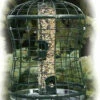 Caged Squirrel Proof Bird Feeder W/ Tray 2 Caged Squirrel Proof Bird Feeder W/ Tray -THE BIRDHOUSE CHICK Sales WLTUBE10new