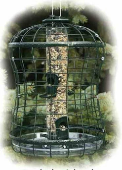 Caged Squirrel Proof Bird Feeder W/ Tray