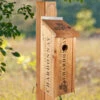 Wine Crate Birdhouse 2 Wine Crate Birdhouse -THE BIRDHOUSE CHICK Sales Wine Crate Gift Birdhouse