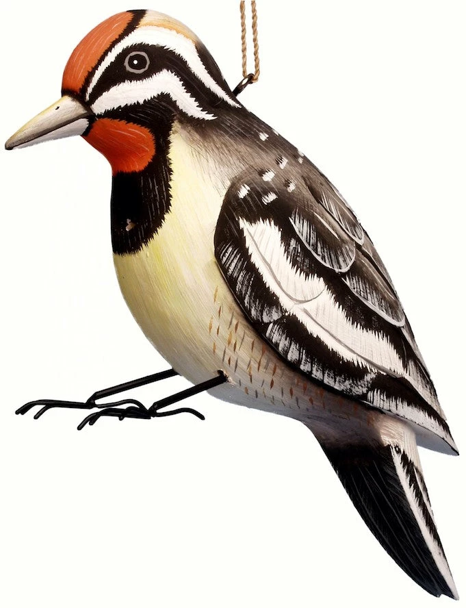 Yellow-Belly Sapsucker Wood Birdhouse 3 Yellow-Belly Sapsucker Wood Birdhouse