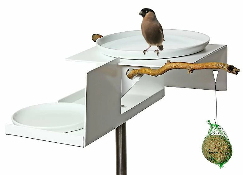 Mod Bird Bath/Feeder On Pole 4 Mod Bird Bath/Feeder On Pole - Image 2