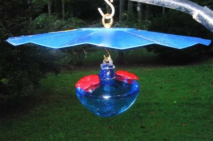 14-Inch Rain Or Shine Weather Guard-Cobalt Blue 5 14-Inch Rain Or Shine Weather Guard-Cobalt Blue - Image 3