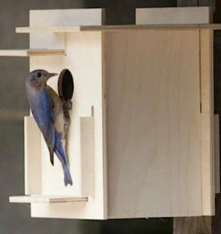 Box For Birds Birdhouse Kit- Modern