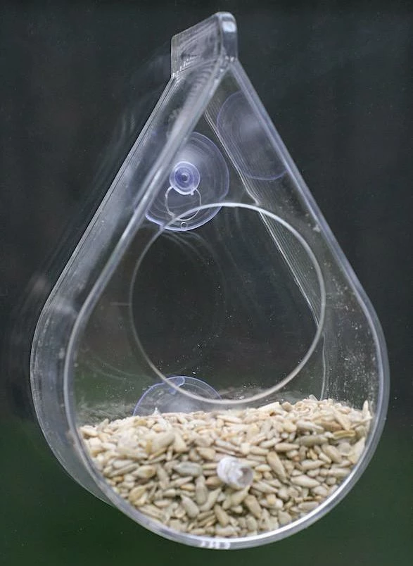 Dew Drop Window Bird Feeder 4 Dew Drop Window Bird Feeder - Image 2