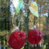 Double Cherry Hummingbird Feeder 1 Double Cherry Hummingbird Feeder -THE BIRDHOUSE CHICK Sales double cherry glass hummingbird feeder