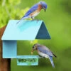 Fence-Post Bluebird Feeder- Blue Or Orange 1 Fence-Post Bluebird Feeder- Blue Or Orange -THE BIRDHOUSE CHICK Sales fence post bird feeder blue