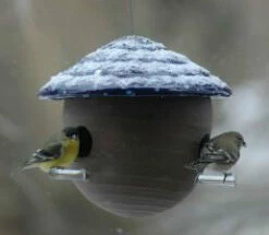 Gourd Bird Feeder 12 Gourd Bird Feeder -THE BIRDHOUSE CHICK Sales gourd feeder detail