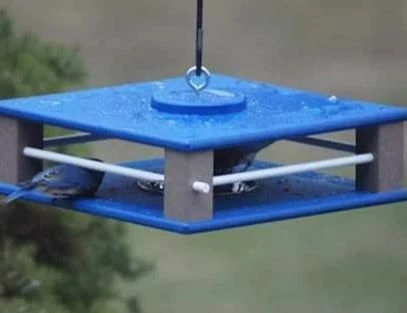Gilbertson Hanging Bluebird Feeder 6 Gilbertson Hanging Bluebird Feeder - Image 4