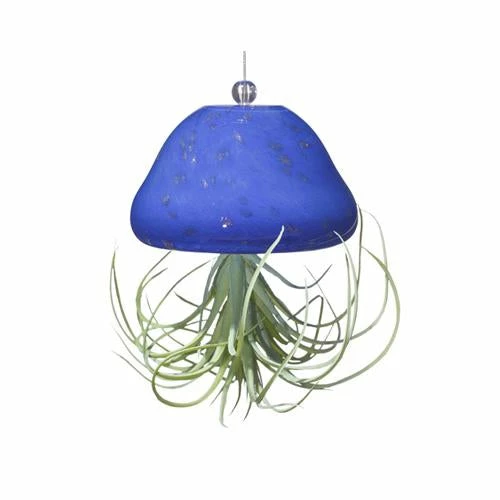 Jellyfish Air Plant Hangers Set/3 4 Jellyfish Air Plant Hangers Set/3 - Image 2
