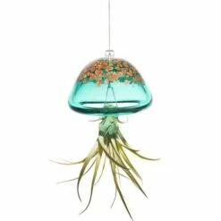 Jellyfish Air Plant Hangers Set/3 9 Jellyfish Air Plant Hangers Set/3 -THE BIRDHOUSE CHICK Sales jellyfish air plant hanger green