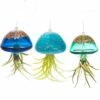 Jellyfish Air Plant Hangers Set/3 1 Jellyfish Air Plant Hangers Set/3 -THE BIRDHOUSE CHICK Sales jellyfish air plant hangers