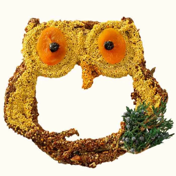 Big Owl Bird Seed Treat-Grapevine Form 3 Big Owl Bird Seed Treat-Grapevine Form