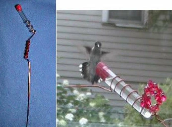 Charmer Hand-Held Hummingbird Feeder Set 3 Charmer Hand-Held Hummingbird Feeder Set