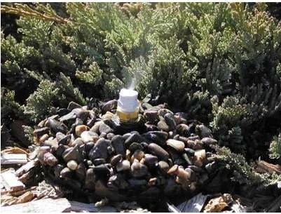 Leaf Mister On Base 6 Leaf Mister On Base - Image 4