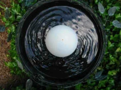 Water Wiggler For Birdbaths 7 Water Wiggler For Birdbaths -THE BIRDHOUSE CHICK Sales new wiggler 3c3b55ad cedd 4ba3 9ddc a6b502d6c4c2