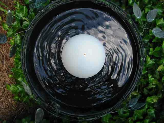 Water Wiggler For Birdbaths 5 Water Wiggler For Birdbaths - Image 3