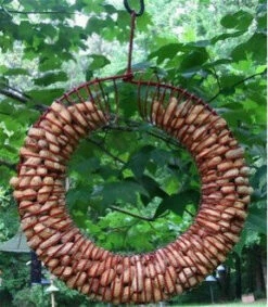 Whole Peanut Wreath Feeder -THE BIRDHOUSE CHICK Sales peanut wreath feeder 0c398828 15c0 4b24 8b84 da876e874a9e