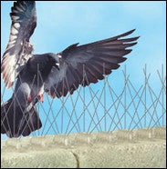 Bird-B-Gone Stainless Steel Bird Spikes 5 Bird-B-Gone Stainless Steel Bird Spikes - Image 3