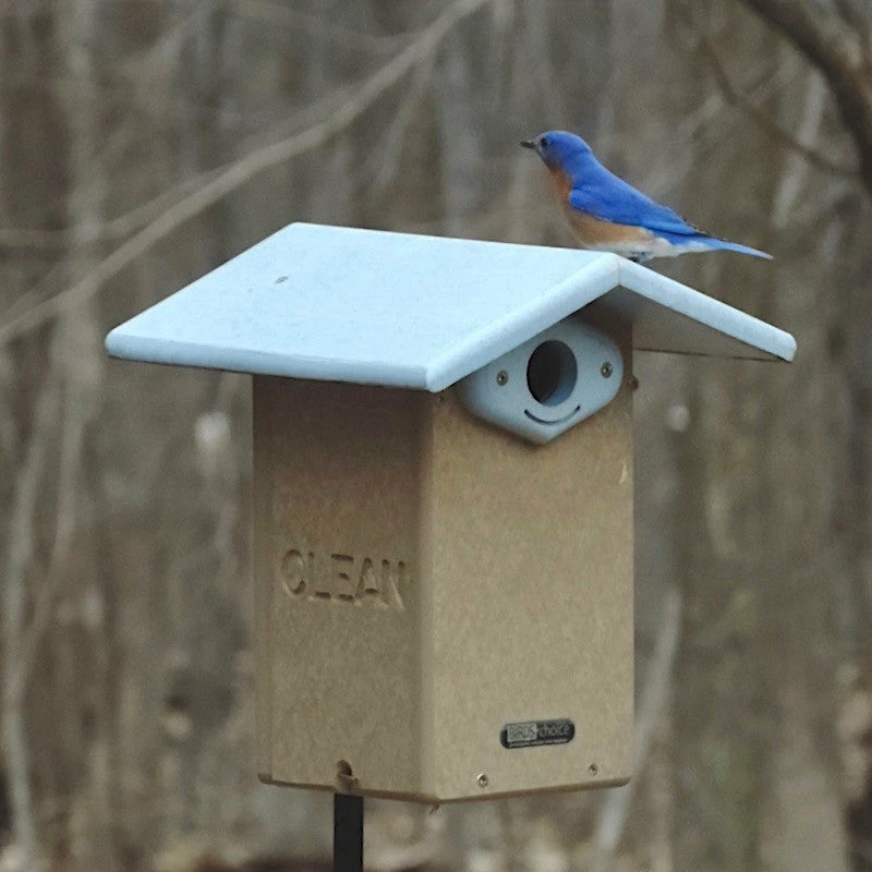 Deluxe Reycled Bluebird House-NABS Approved 4 Deluxe Reycled Bluebird House-NABS Approved - Image 2