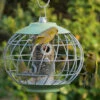 Gardman Nuttery Squirrel Proof Seed Feeder 1 Gardman Nuttery Squirrel Proof Seed Feeder -THE BIRDHOUSE CHICK Sales seed feeder Helix