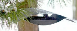 ESSCHERT DESIGN Mod Bird Feeder- Flight 6 ESSCHERT DESIGN Mod Bird Feeder- Flight -THE BIRDHOUSE CHICK Sales seedfeeder light photojpg