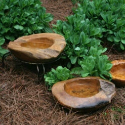 Teak Bird Bath, Deck-Mount Or Ground 2 Sizes -THE BIRDHOUSE CHICK Sales small teak bath ground