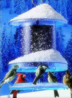 Songbird All-Weather Feeder 4 Or 6 Qt. 11 Songbird All-Weather Feeder 4 Or 6 Qt. -THE BIRDHOUSE CHICK Sales snow 20all 20weather