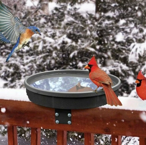 Songbird Spa Heated Deck-Mount Bird Bath 3 Songbird Spa Heated Deck-Mount Bird Bath