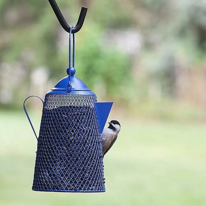 Teapot Bird Feeder- Peanuts/Sunflower 3 Teapot Bird Feeder- Peanuts/Sunflower