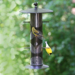 Upside-Down Finch Feeder