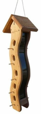 Featured Products -THE BIRDHOUSE CHICK Sales wave seed